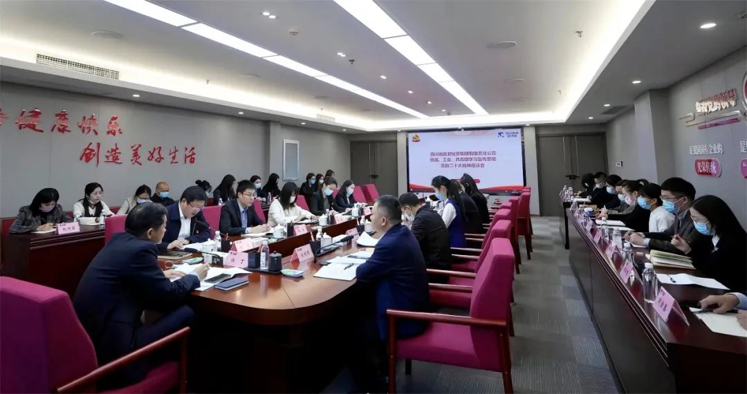 四川省k8凯发集团召开统战、工会、共青团进建宣传贯彻党的二十大心灵座谈会