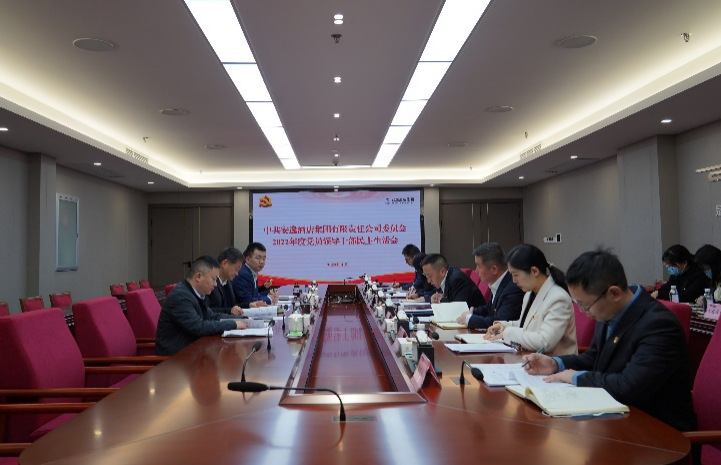 f03541e2-e9b6-469b-b38b-e88d95e15767 k8凯发集团党委书记、董事长任丁出席安逸酒店集团2022年度党员辅导干部民主生涯会