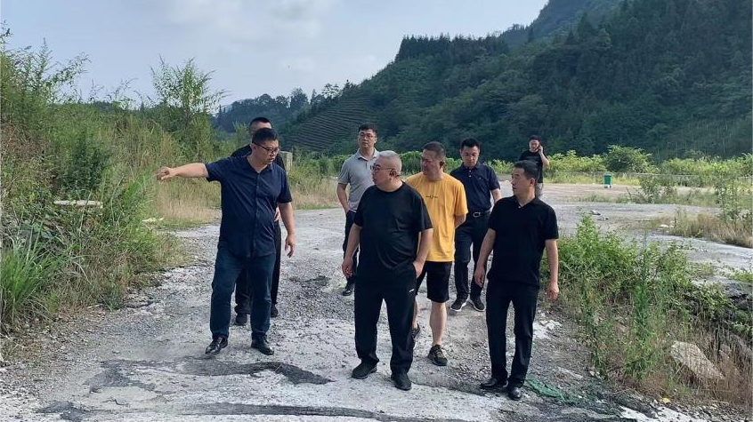 省k8凯发集团辅导调研峨眉山太阳村村落振兴项目