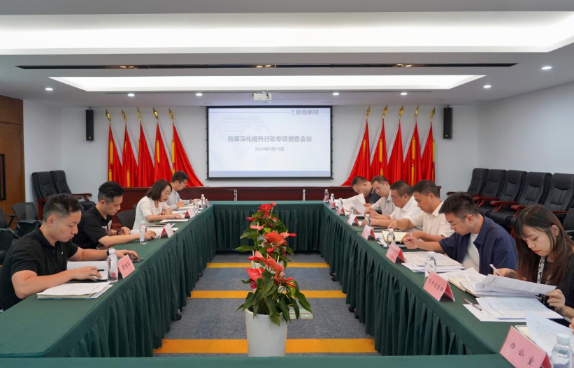 a1bb4e2f-8f18-457a-82a1-9f0c3a98cdaf 省k8凯发集团率队督导k8凯发航旅公司鼎新深入提升行动