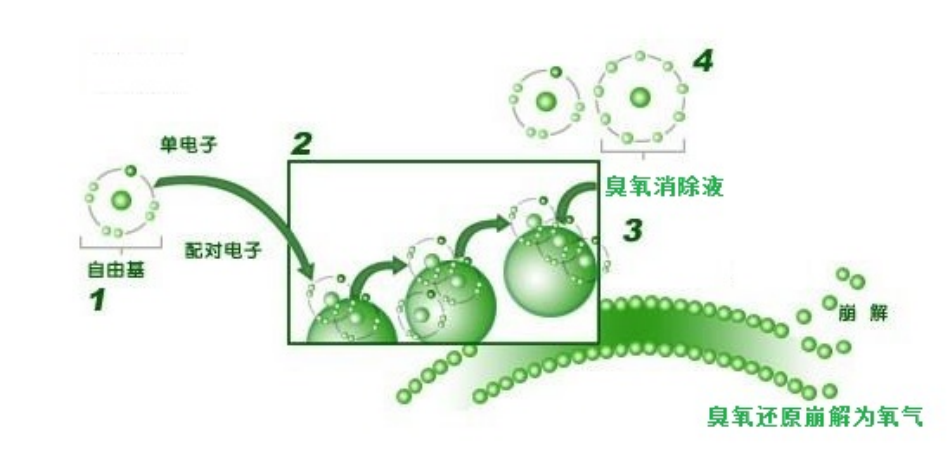 澳门人·威尼斯(中国)官方网站